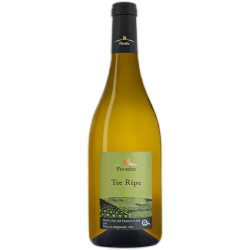 Verdicchio Castelli di Jesi Classico Superiore DOC Tre Ripe Blanc