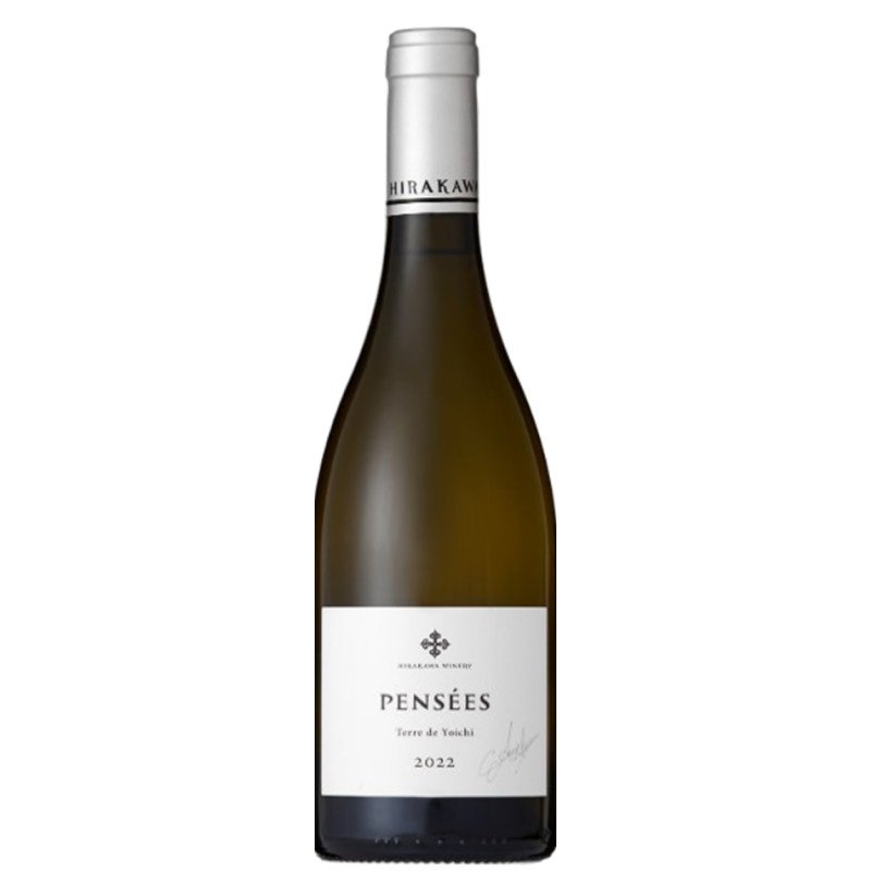 Pensées Terre de Yoichi Blanc