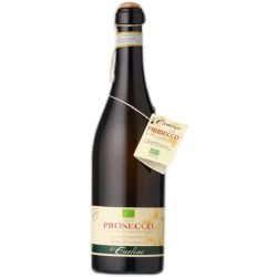 Prosecco DOC Frizzante