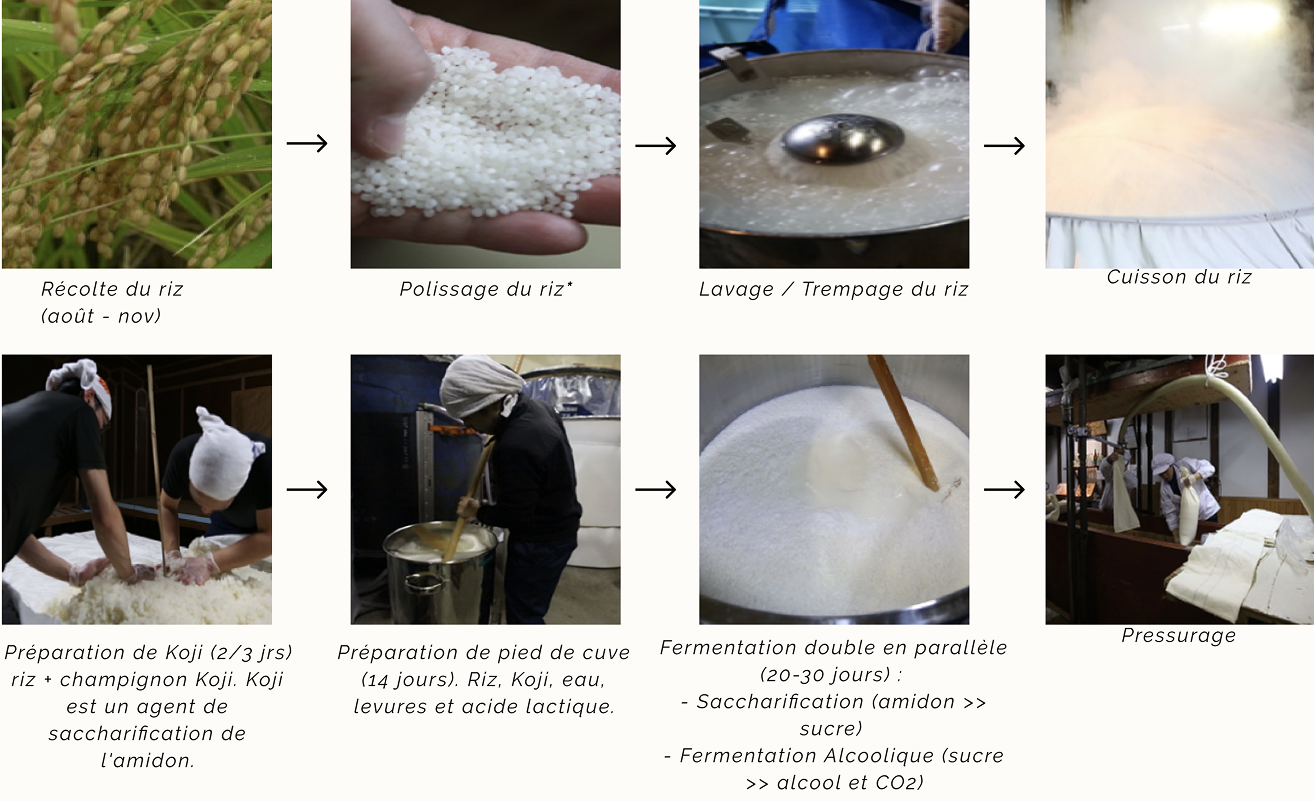 Production de saké