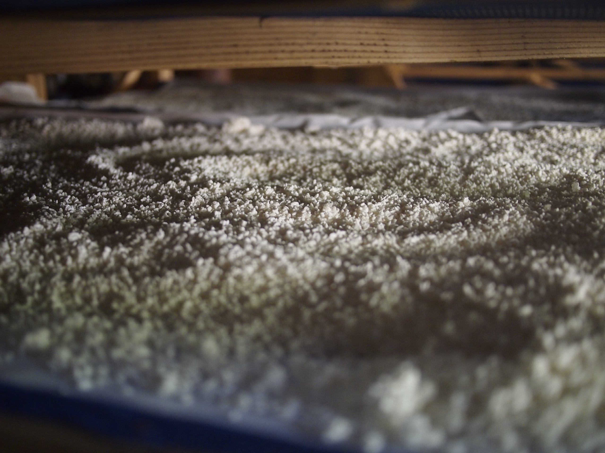 Fermentation du saké